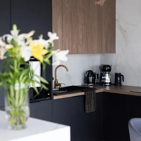 Apartmán Skyline Global , 21th Floor, Free Garage, Self Check-in Katovice